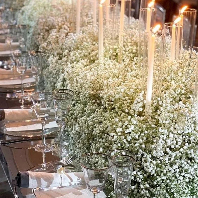 Gypsophile Séchée Naturelle blanche