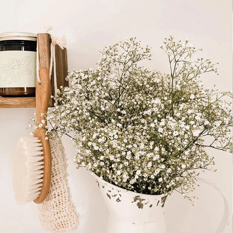 Gypsophile Séchée Naturelle blanche